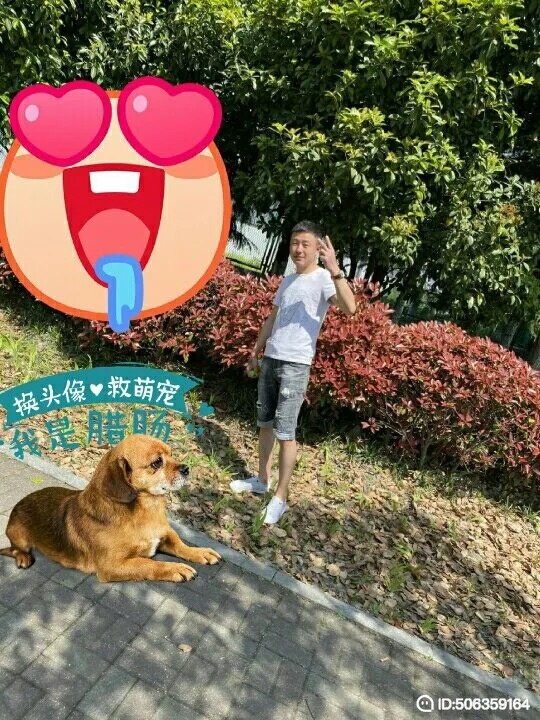 我若不坚强谁替我勇敢的第五张照片--肥西基督教相亲网